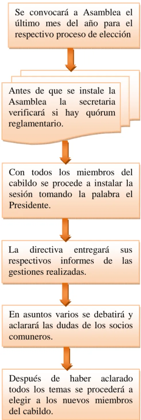 Gráfico N° 16 