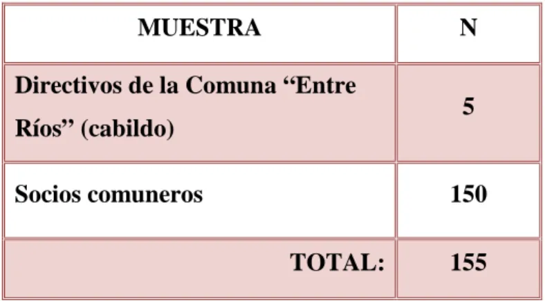 Cuadro N° 5  Muestra     
