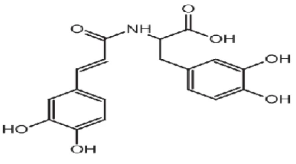 FIGURA  6. Estructura de clovamida (iupac)  [18] 