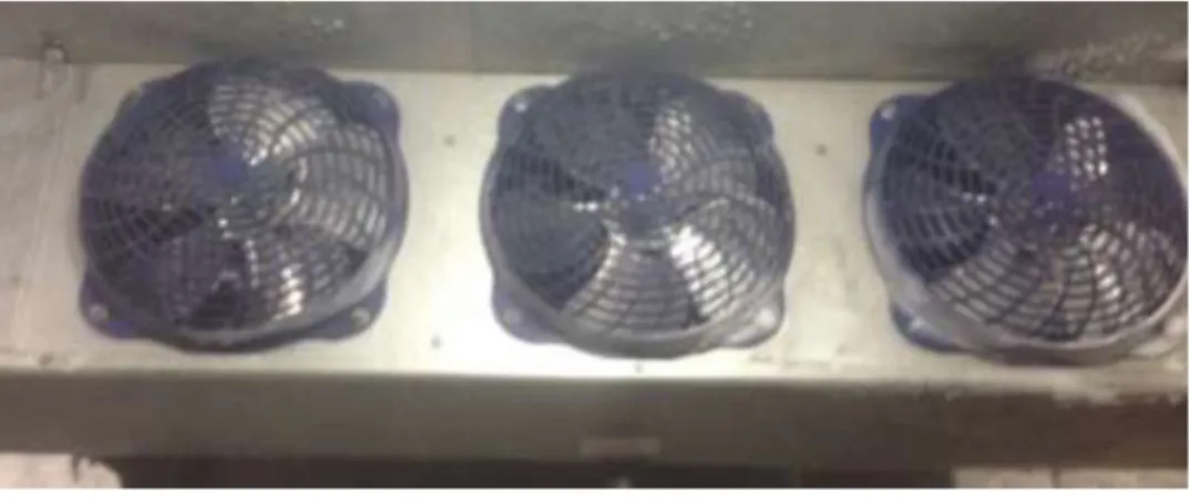 Figura 3-1. Evaporador con abanicos congelados y dañados Fuente: Fotografía propia en restaurante de Momentum Pinares 