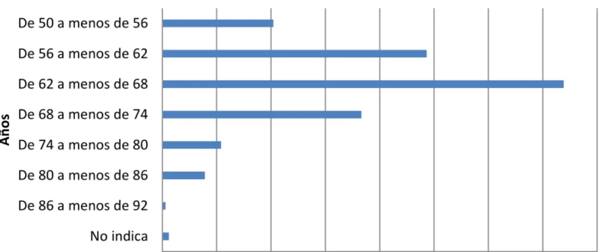 Gráfico  N° 40 