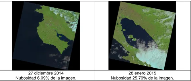 Cuadro 1. Imágenes Landsat 8 descargadas de USGS para el estudio de Cobertura  Forestal año 2015