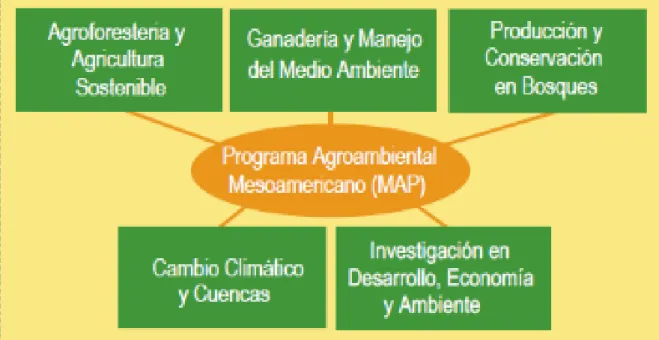 Figura 4.3: Programas científicos CATIE 
