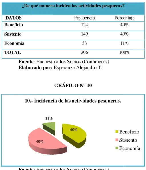 GRÁFICO N° 10 