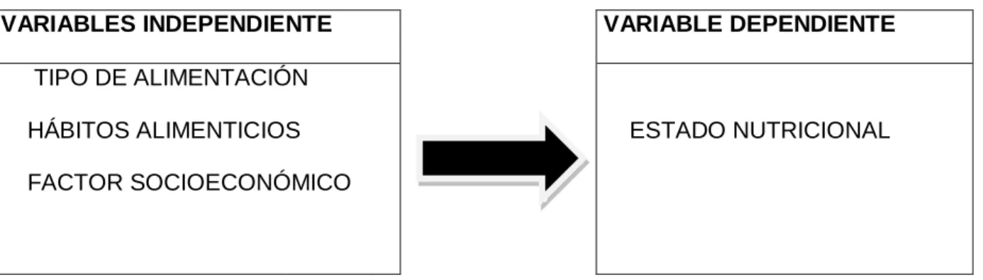 Cuadro n°3 Variables 