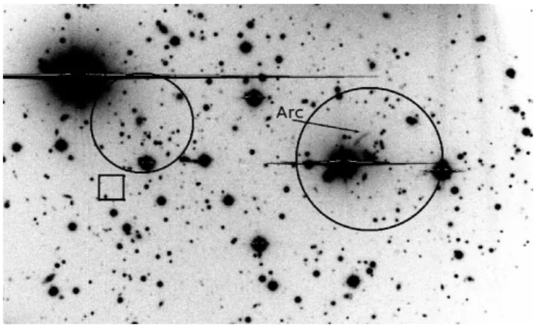 Fig. 10. 3 ′ ×5 ′ r-band image of the cluster PSZ1 G206.45+13.89 obtained with ACAM/WHT