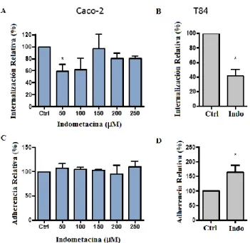 Figura  1.  Entrada  de  esporas  en  células  T84  es  inhibida  por  indometacina.  Células  Caco-2 y T84 tratadas con indometacina por 1 hora como inhibidor de endocitosis mediada  por  caveolina