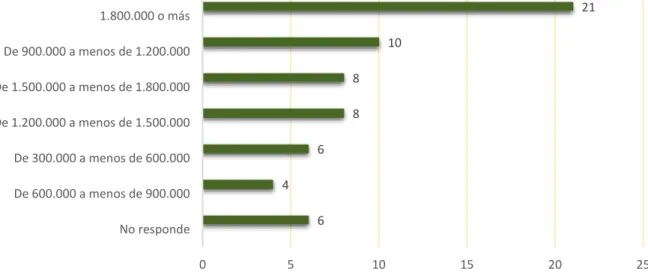 Gráfico N° 28 
