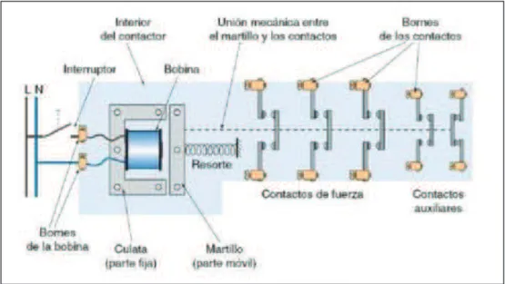 Figura 2.5.  Partes de un contactor 
