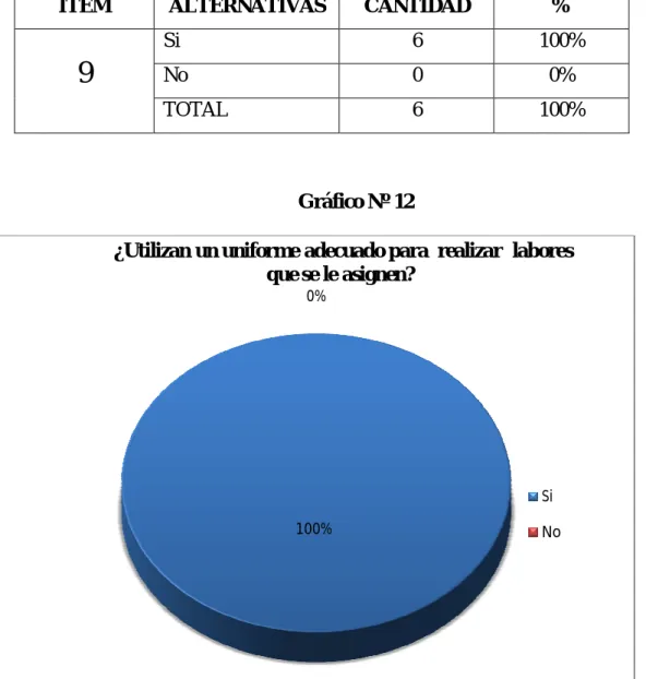 Gráfico Nº 12 