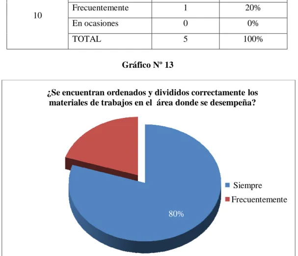 Gráfico Nº 13 