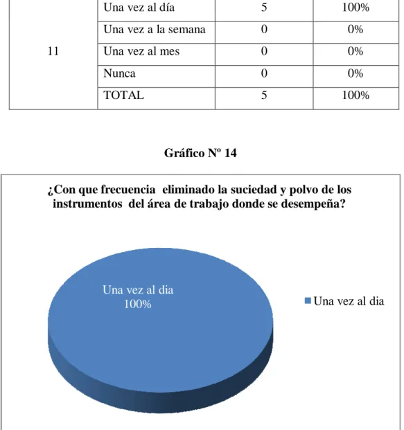 Gráfico Nº 14 