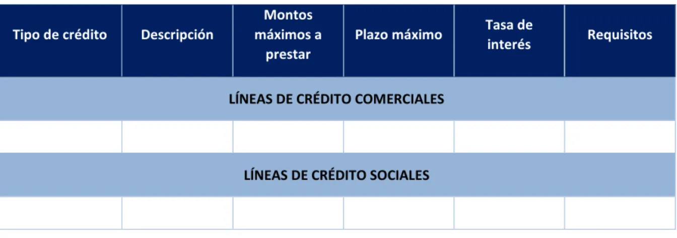 Tabla 13. Formato para cartera de productos actual-líneas de crédito 