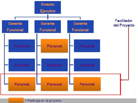 Figura 2.3: Estructura matricial débil. 