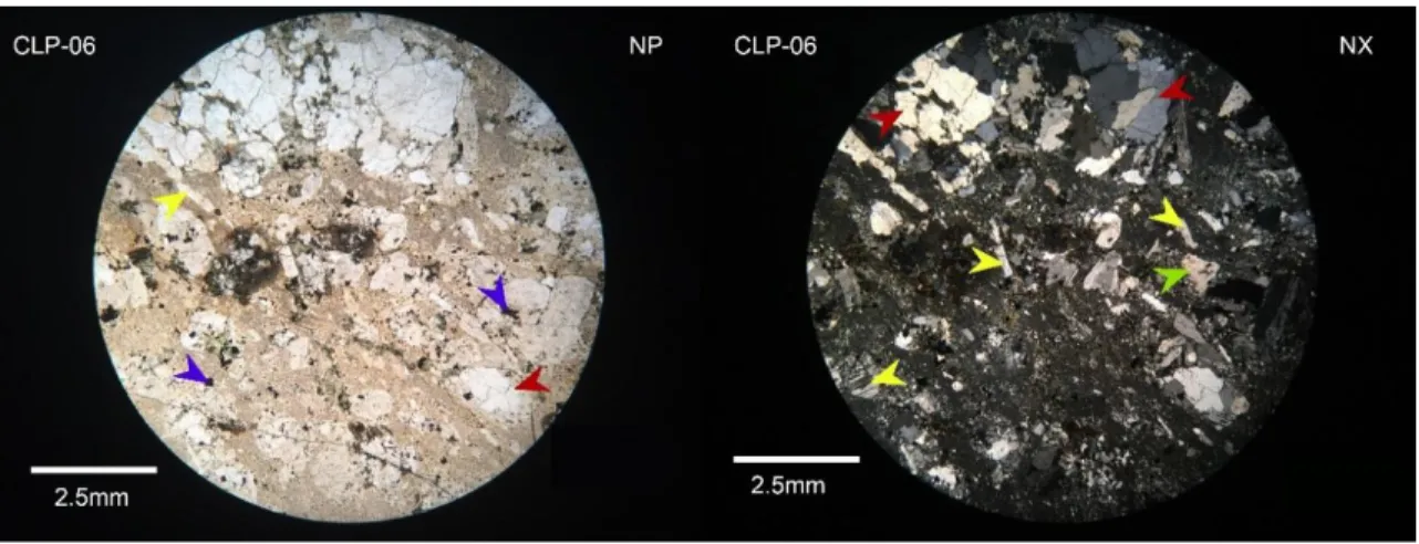 Figura  3.7  Fotomicrografía  de  la  muestra  CLP-06  en  nicoles  paralelos  (izquierda)  y  nicoles  cruzados  (derecha)  mostrando  los  constituyentes  principales