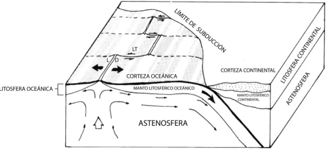 Figura 2. Elementos mayores de la tectónica de placas. Las placas están formadas  por corteza oceánica (en negro) y continental (en puntos) y un espesor variable del  manto  superior  que  forma  la  litosfera