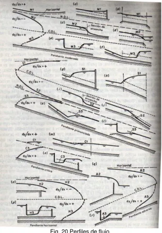 Fig. 19 Perfiles de flujo. 