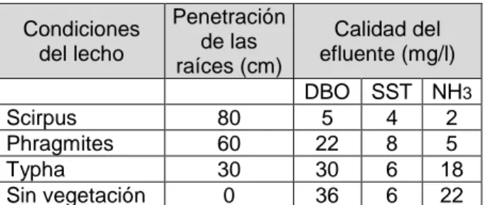 Tabla  2.  Rendimientos  de  humedales  según  su  vegetación. Con condiciones iniciales de: DBO: 118 mg/l,  SST: 57 mg/l, NH 3 : 25 mg/l