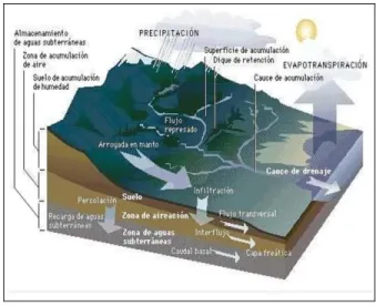 Fig. 2.  División de la Cuenca Hidrográfica de acuerdo al  drenaje 2