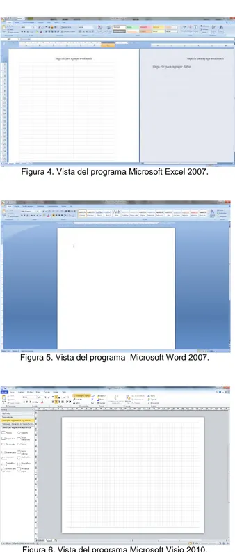 Figura 4. Vista del programa Microsoft Excel 2007. 