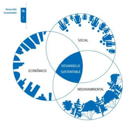 Figura I.1 Matriz desarrollo sustentable .