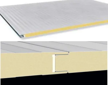Figura 1.2 esqueleto modulo 
