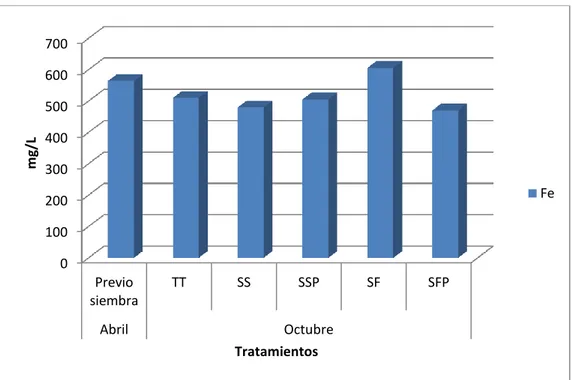 Figura 6. Valores promedios de hierro según los resultados de análisis de  suelo realizado antes  y  después del establecimiento del cultivo de  arroz