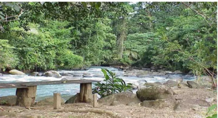 Figura 2.3 Río Celeste: Ecoturismo 