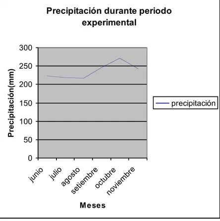 Figura   10.  Precipitación  registrada durante  el  período  experimental,  Cot  de Oreamuno , Cartago , Costa Rica , 2005