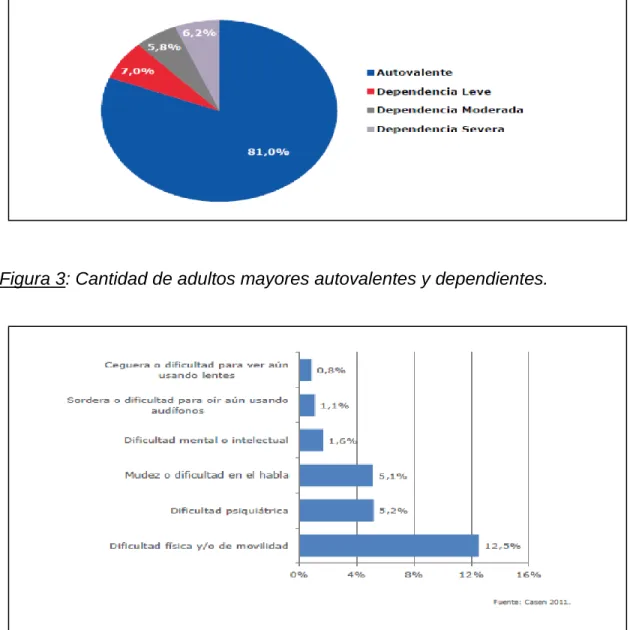 Figura 4: Causas de discapacidad.  