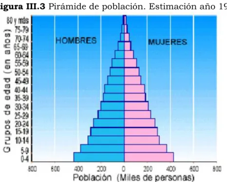 Figura III.4 Pirámide de población. Estimación año 2001 