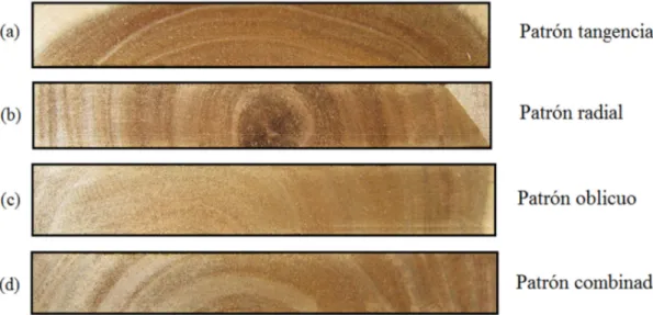 Figura 3. Diferentes patrones de corte presentes en las tablas de A. mangium de árboles de  plantación