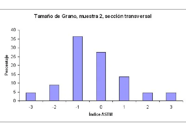 Gráfico IV-4 Tamaño de grano de la muestra 2, sección transversal; 