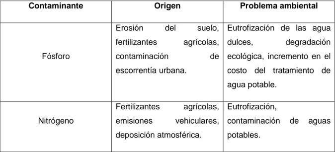 Tabla 1 - Fuentes, origen y problemática ambiental  de algunos generadores de la contaminación  difusa