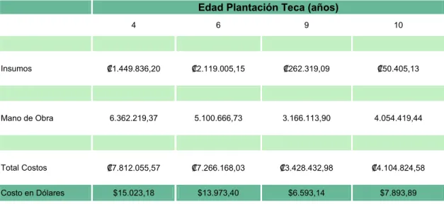 Tabla 7. Estructura de Costos para la Plantación de Acacia. 
