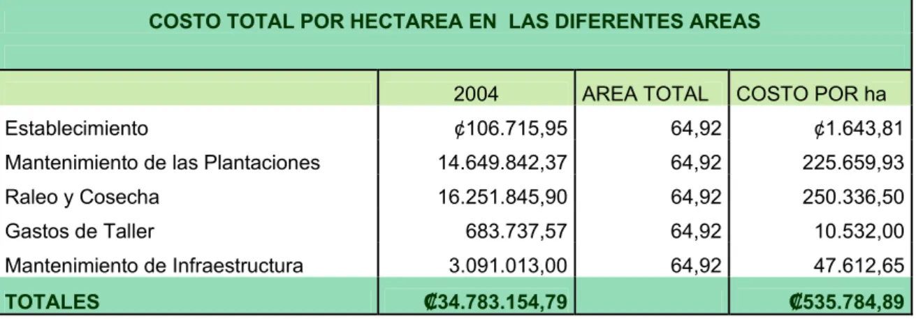 Cuadro 6. Costo Total por Hectáreas (Área Total) 2005 Finca Cascoverde I  
