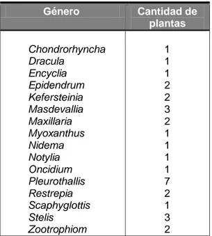 Cuadro 2.  Cantidad de muestras de orquídea por género  evaluadas para INSV. 