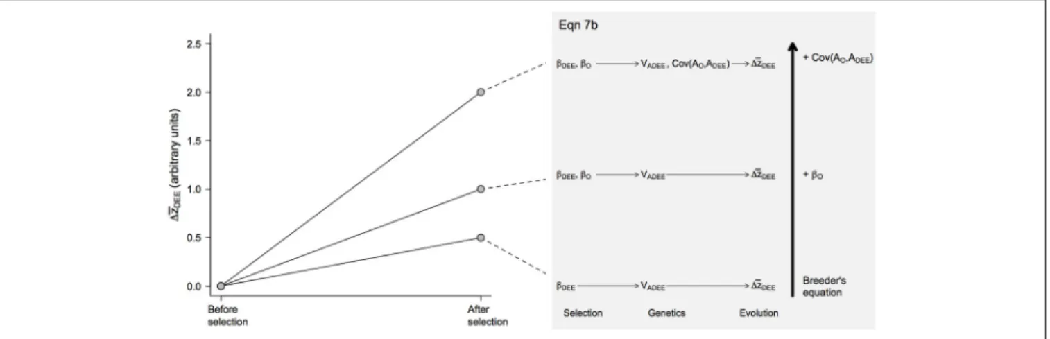 FIGURE 3 | Predicted evolutionary responses of maternal DEE (1z DEE ) in different evolutionary scenarios