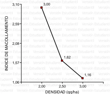 Figura  2.  Índice  de  macollamiento  (m 2 )  del  material  promisorio  LP-5,  en  niveles crecientes densidad de siembra (qq/ha), Pococí, 2010