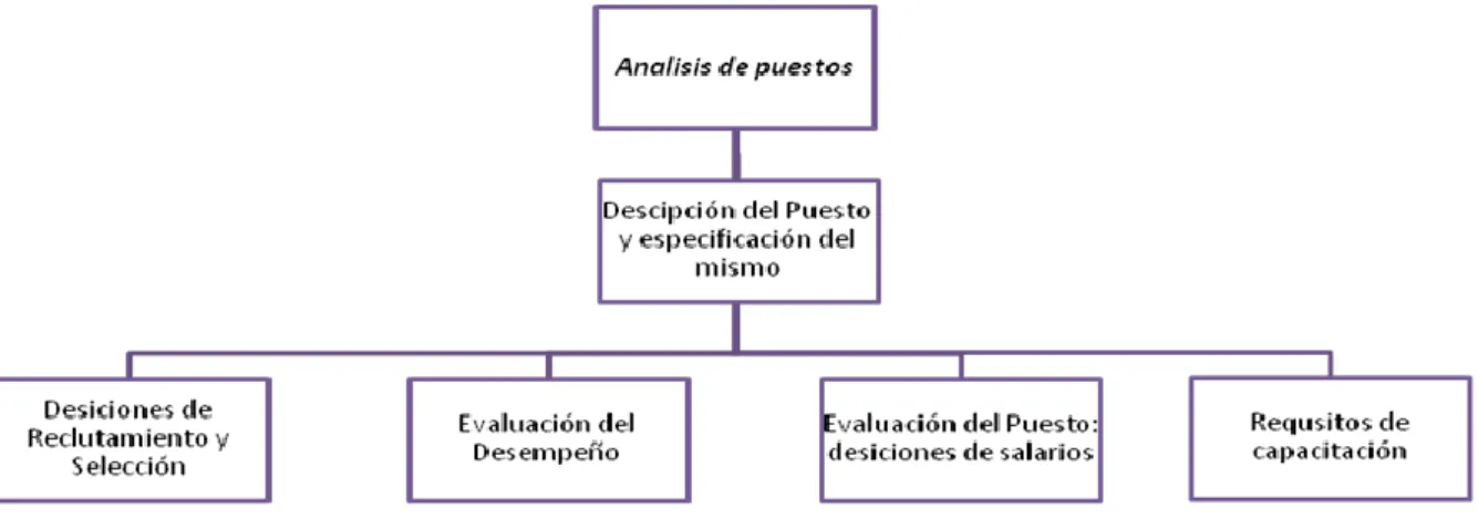 Ilustración 2.4-2. Principales usos de la descripción de puestos. 