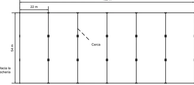 Figura 7. Trazado de cercas para delimitación de apartos para pastoreo. 