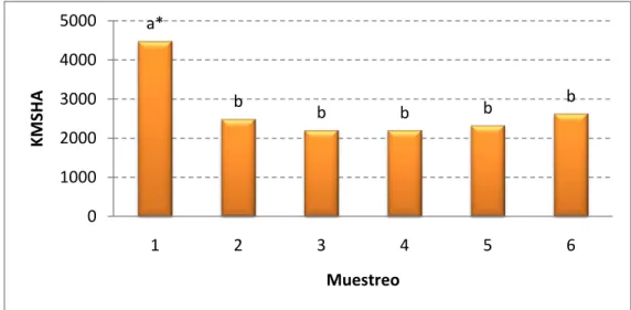 Figura 12. Producción de kg MS/ha/corte como promedio de los tratamientos  para cada una de las fechas de muestreo (Datos promedio de pasto Toledo y  Mulato II)