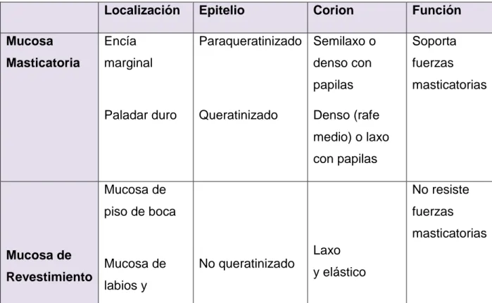 Tabla I. Características histológicas y funcionales de la mucosa oral.  (3)