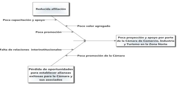 Ilustración 3. Matriz de causas y efectos con respecto a la atracción y permanencia de  afiliados 