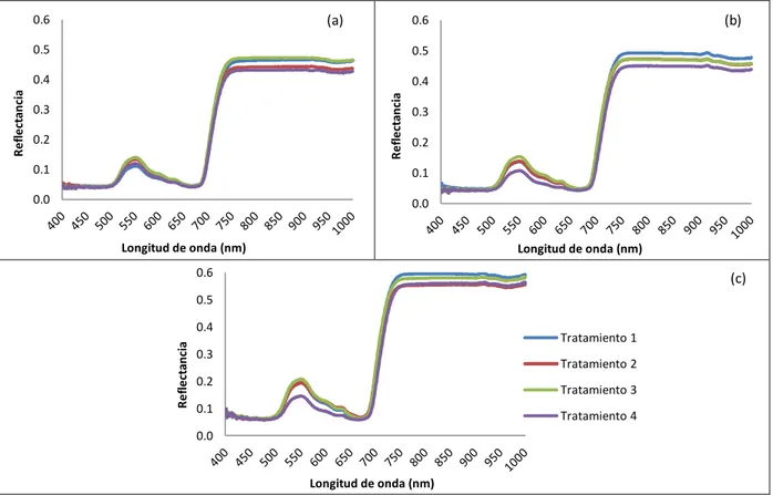 Figura 1. Valor de la firma espectral de Jatropha curcas registrada en el mes de (a) octubre (b)  noviembre y (c) diciembre, bajo diferentes tratamientos (sustratos)