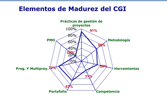 Figura 4.3. Resultados de la evaluación de elementos de madurez en Gestión de Proyectos en el  CGI 