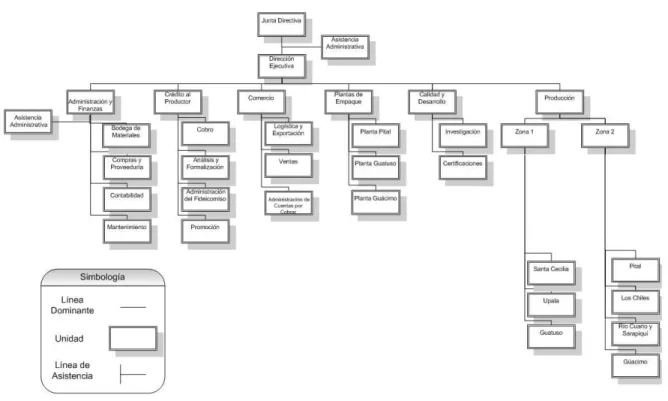 Ilustración 1. Estructura Organizacional de Proagroin. 
