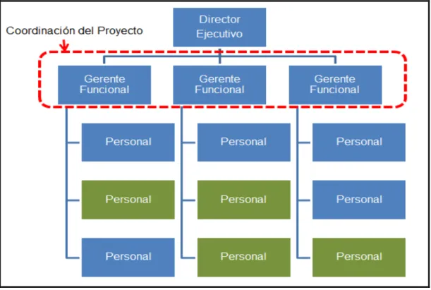 Figura 2.5: Organización funcional 