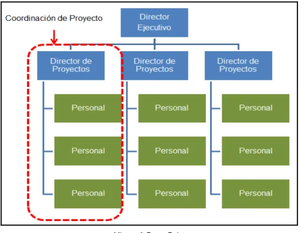 Figura 2.9: Organización Orientada a Proyectos 