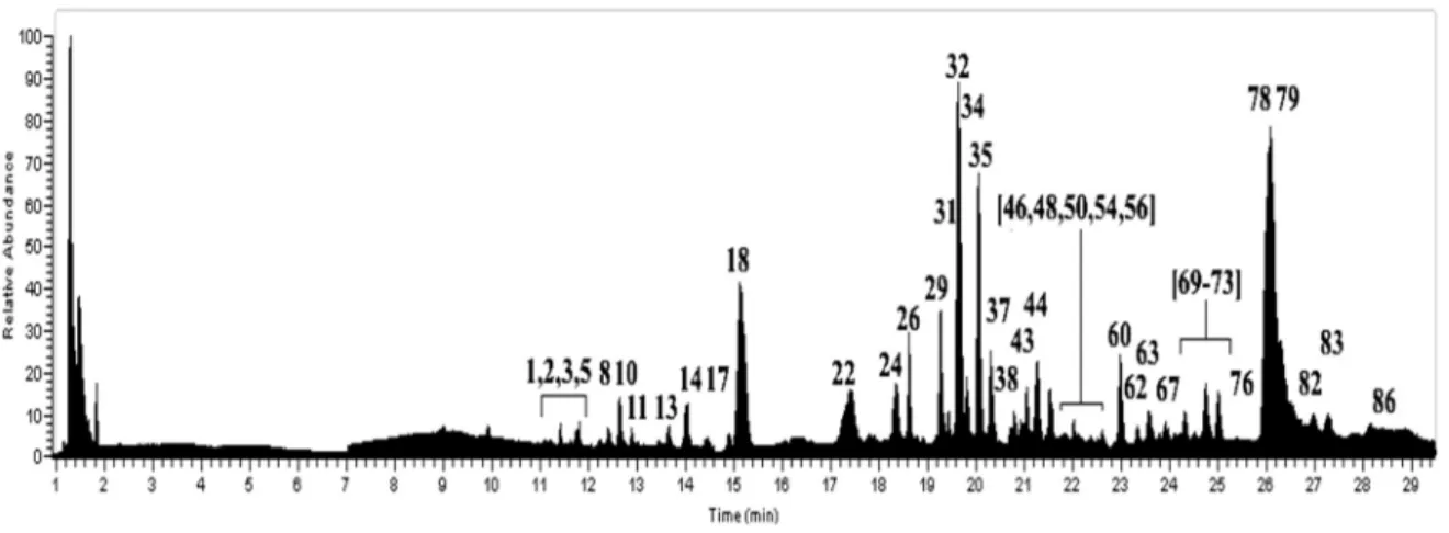Figure 1. UHPLC-MS Chromatogram of U. barbata. 